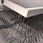 Plaatsen vogelwering zonnepanelen